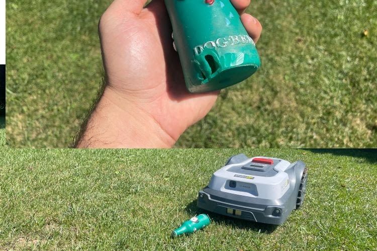 Dieses Hundespielzeug überfuhr der T600 und beschädigte es mit seinen Messern