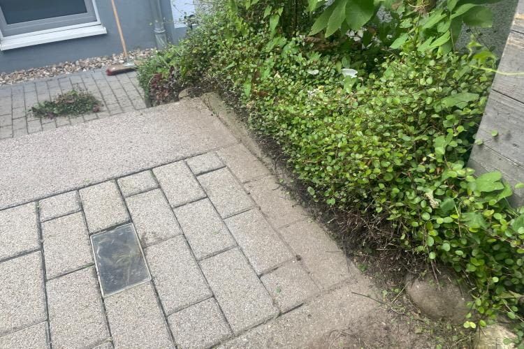 Tolles Ergebnis: Dank Kantenfunktion konnten wir hier eine sehr schön Kante mähen