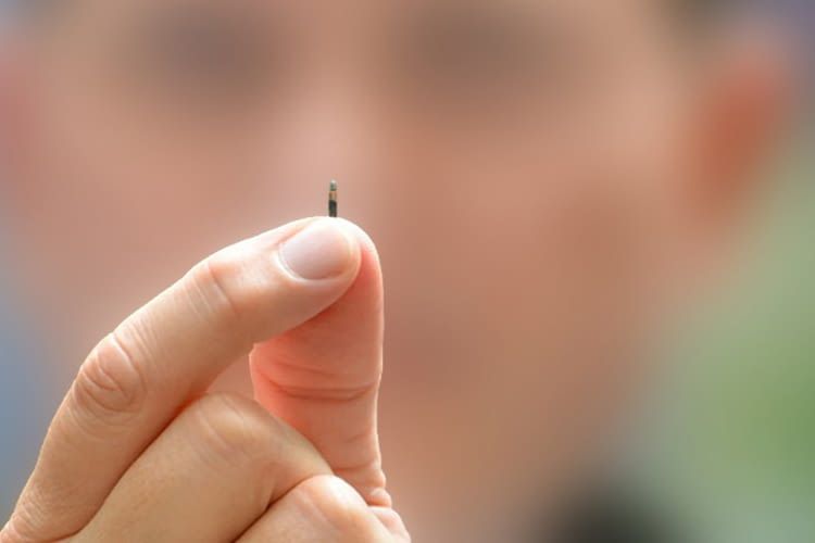 Die winzigen Daten-Chips können an verschiedenen Stellen im Körper eingesetzt werden