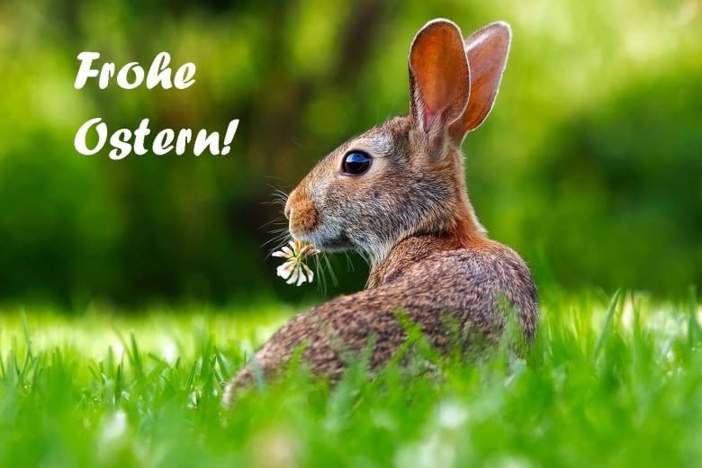 Bei uns findet jeder den passenden Ostergruß