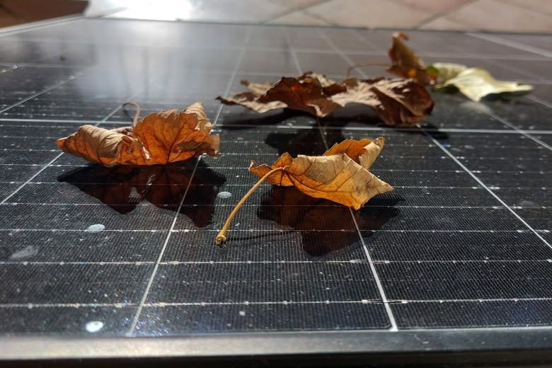 Laub auf den Solarmodulen senkt den Stromertrag deutlich