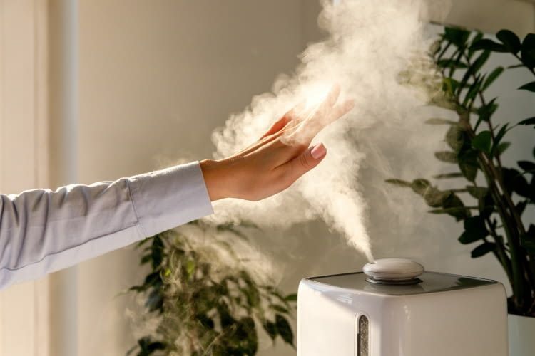 Einige Luftbefeuchter senden feine Nebel aus, um den Raum zu befeuchten