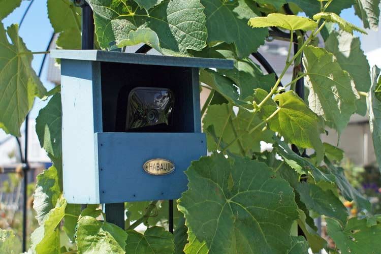 Diese WLAN-Kamera überwacht sehr diskret den Garten unserer Tester