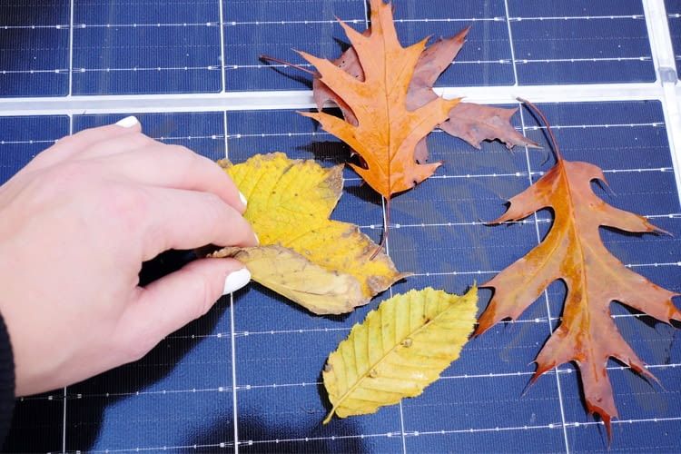 Herbstlaub kann für eine ungewollte Verschattung sorgen