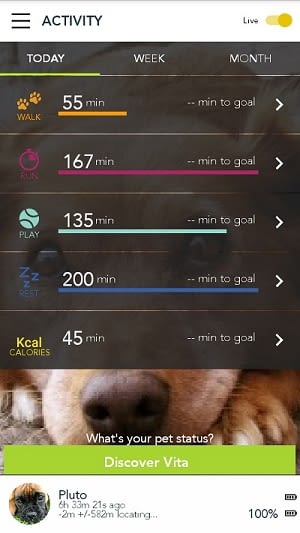 In der Kippy-App festlegen, welche Bewegungsziele erreicht werden sollen