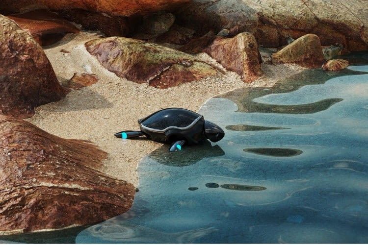 Die RoboTurtle kann sich an Land und Wasser autonom fortbewegen