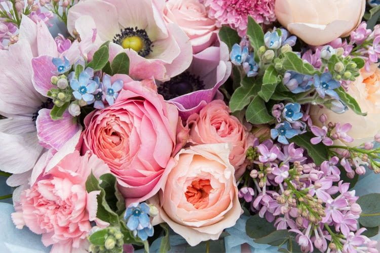 Im Idealfall sind Rosen und Co. bei der Zustellung noch sehr frisch