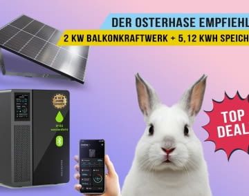 Wer zu Ostern nicht zugreift, bereut es vielleicht den ganzen Sommer über