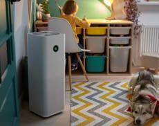 HEPA-Luftreiniger sorgen in allen Wohnräumen für besonders frische Luft