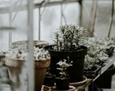Mit diesen smarten Technologien wird der Garten smart für den Winter
