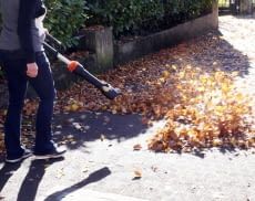 Dieses Worx Modell bewies in unserem Test ordentlich Power