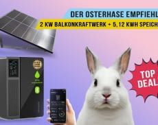 Wer zu Ostern nicht zugreift, bereut es vielleicht den ganzen Sommer über