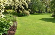 Vorbild für viele Rasenfreunde: Englischer Rasen mit perfekt gemähter Rasenkante
