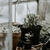 Mit diesen smarten Technologien wird der Garten smart für den Winter