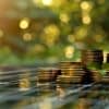 PV-Direktinvestment bietet eine Geldanlage zur Nachhaltigkeit