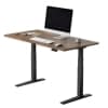 Flexispot E7 Pro